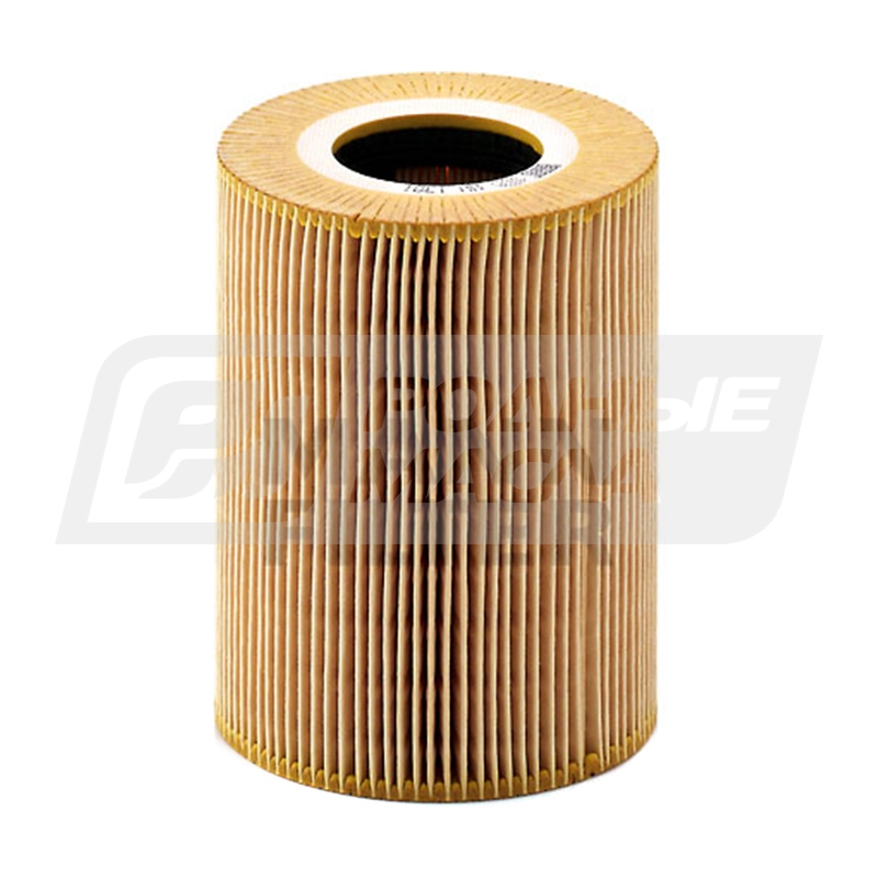 MANN HU 1381 x (O-MAN 51055040098) HU1381X