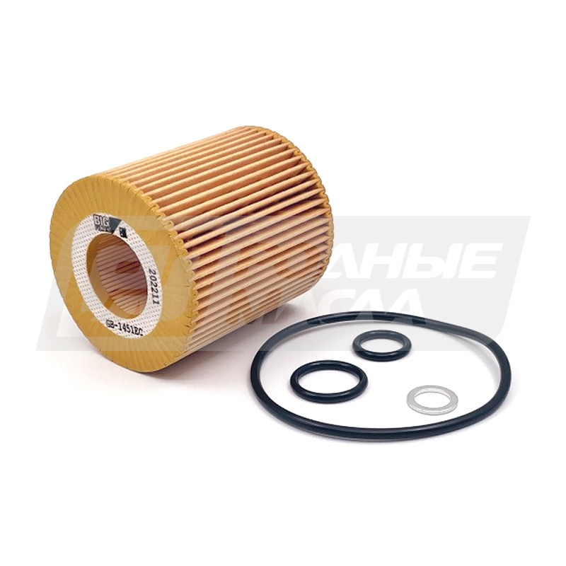 BIG FILTER GB-1451EC (HU8152X, BMW 11427501676, 11427508969) GB1451EC